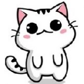 WhatsApp Image 2025-02-18 at 16.02.38 (1)
